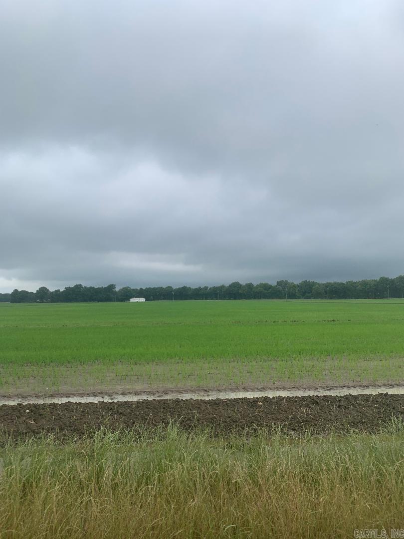 420  GREENE 107  Delaplaine, AR