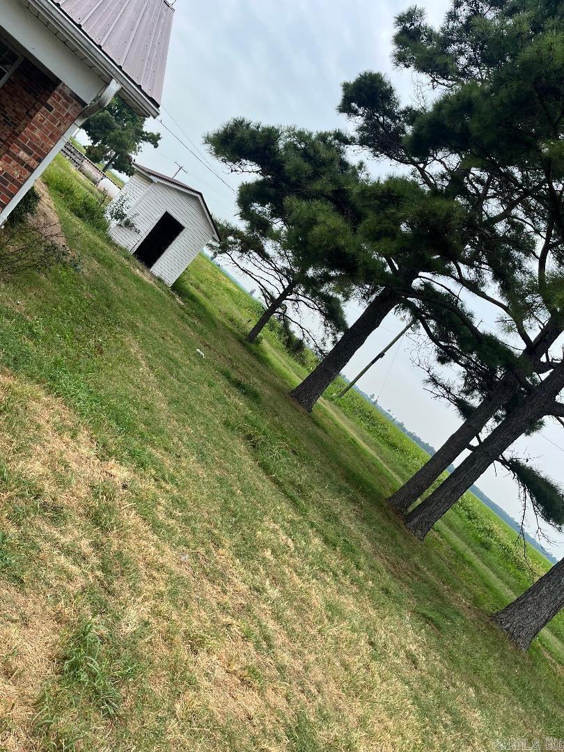 420 GREENE 107  Delaplaine, AR