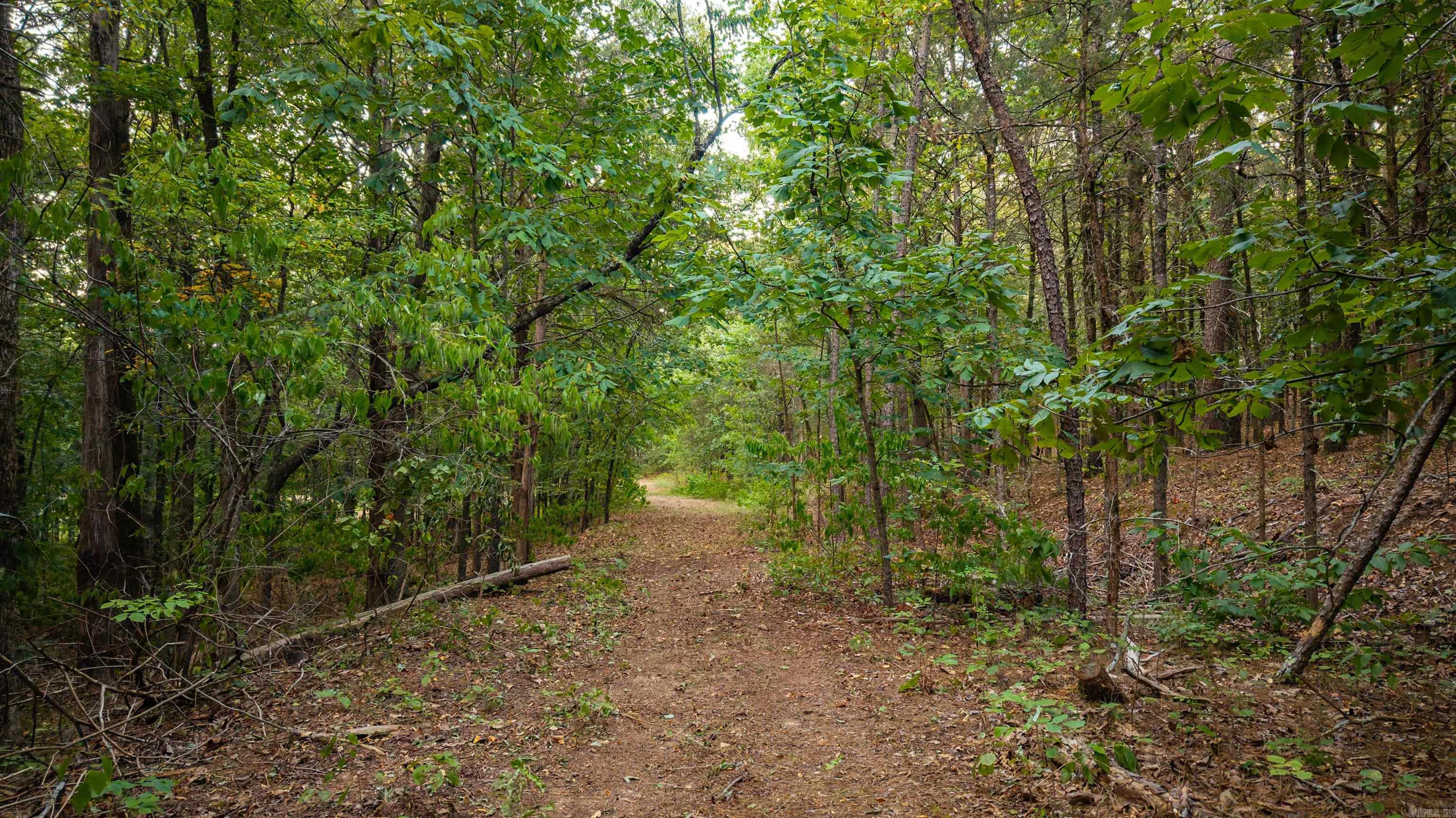 180 Katie Ln  Conway, AR