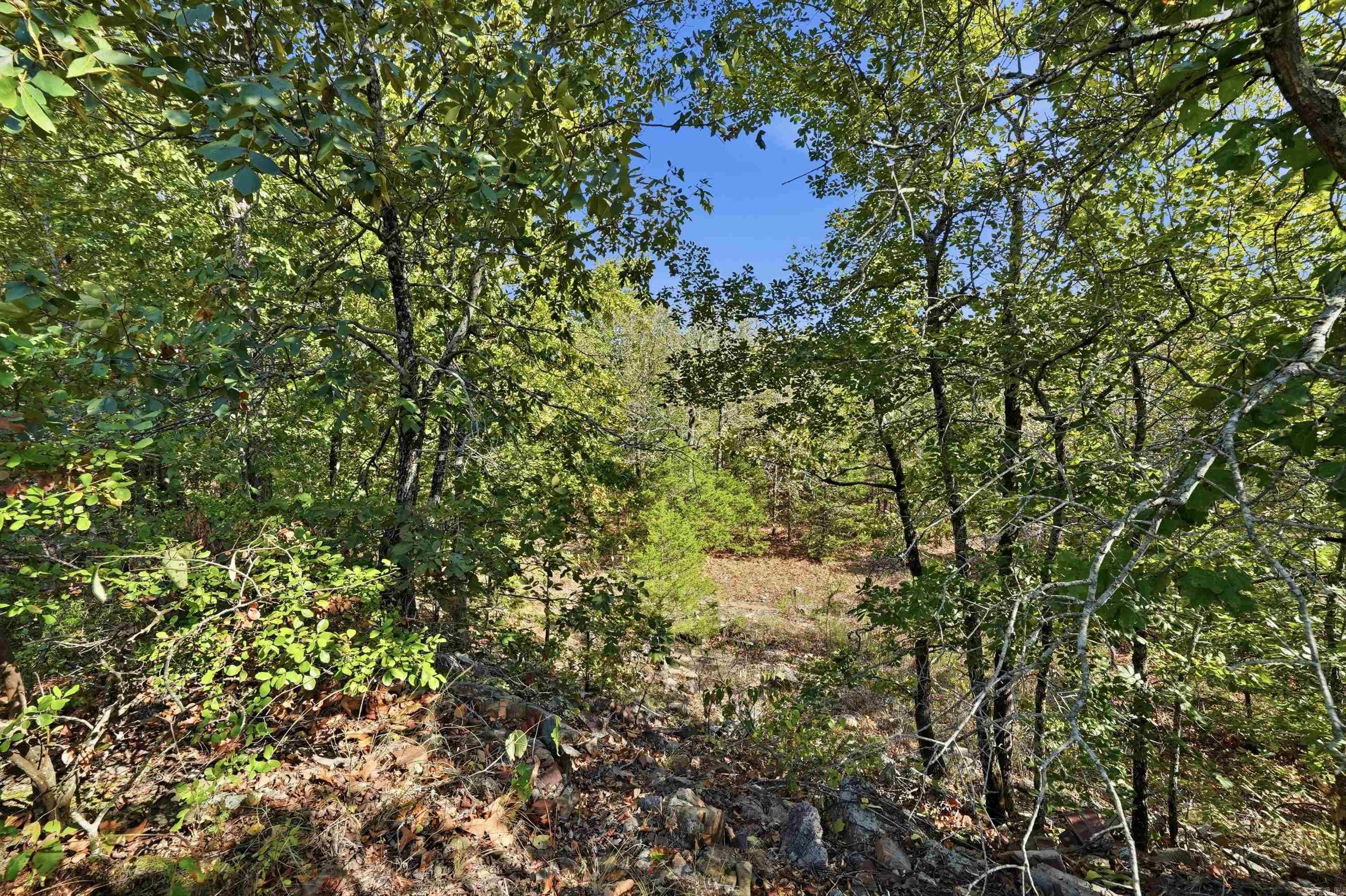 43 Hidden Valley  Conway, AR