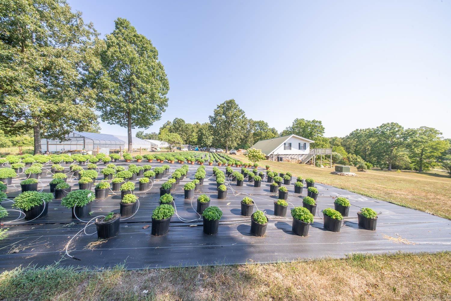 11092 Highway 9  Mammoth Spring, AR