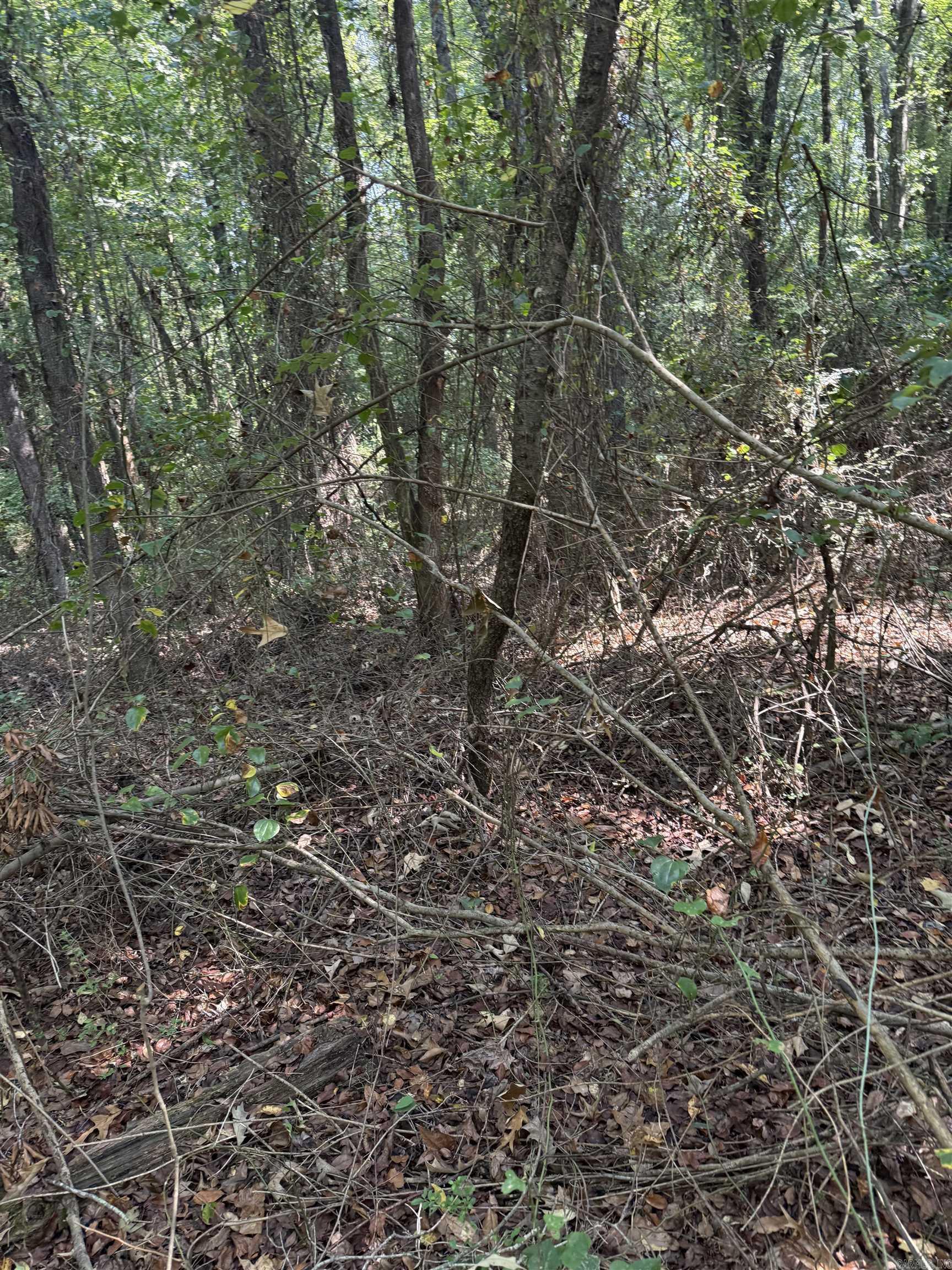 425 Bald Knob Lake Road — photo 3