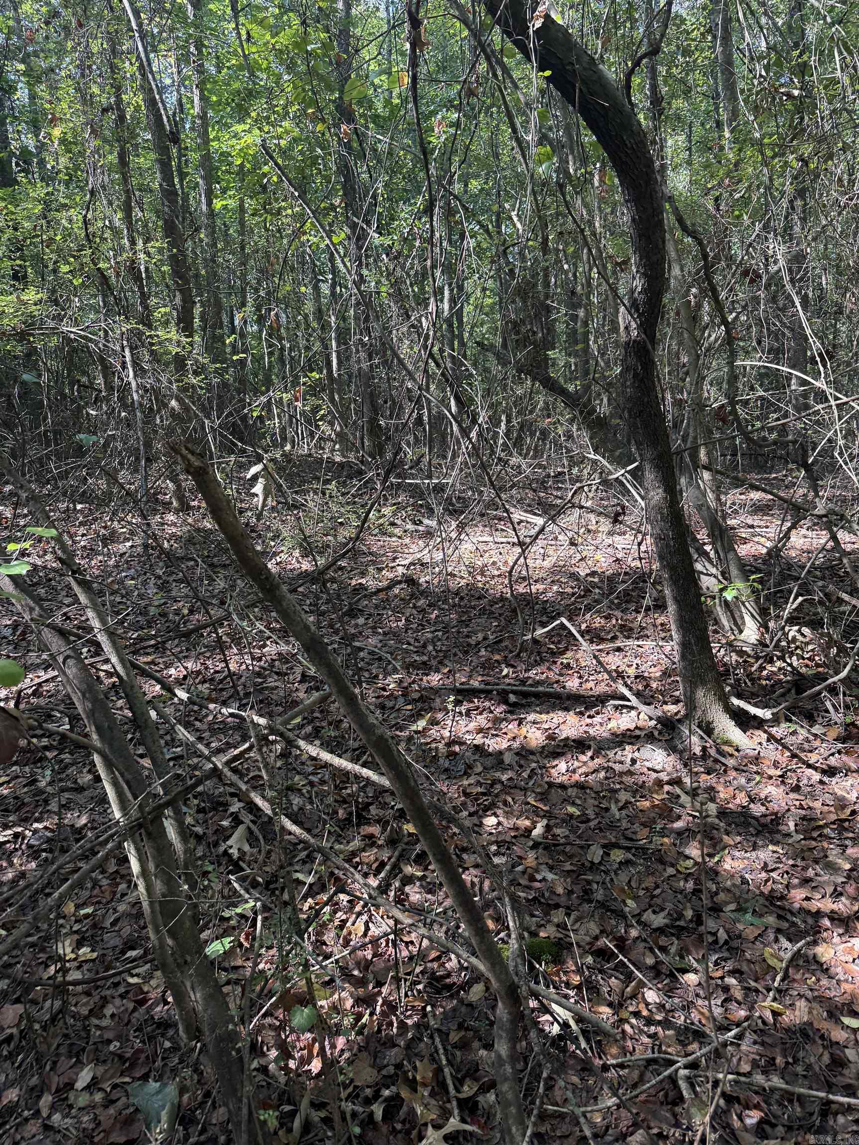 425 Bald Knob Lake Road — photo 4