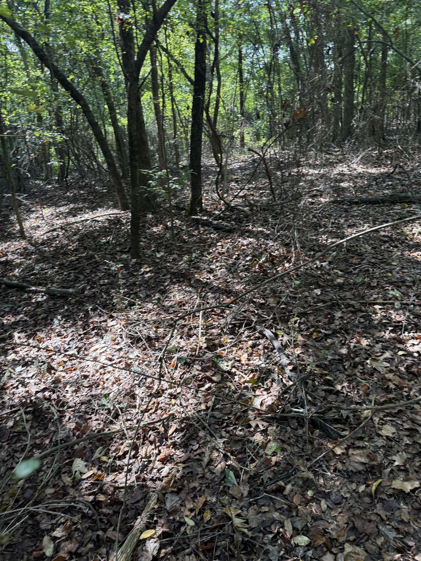 425 Bald Knob Lake Road — photo 5