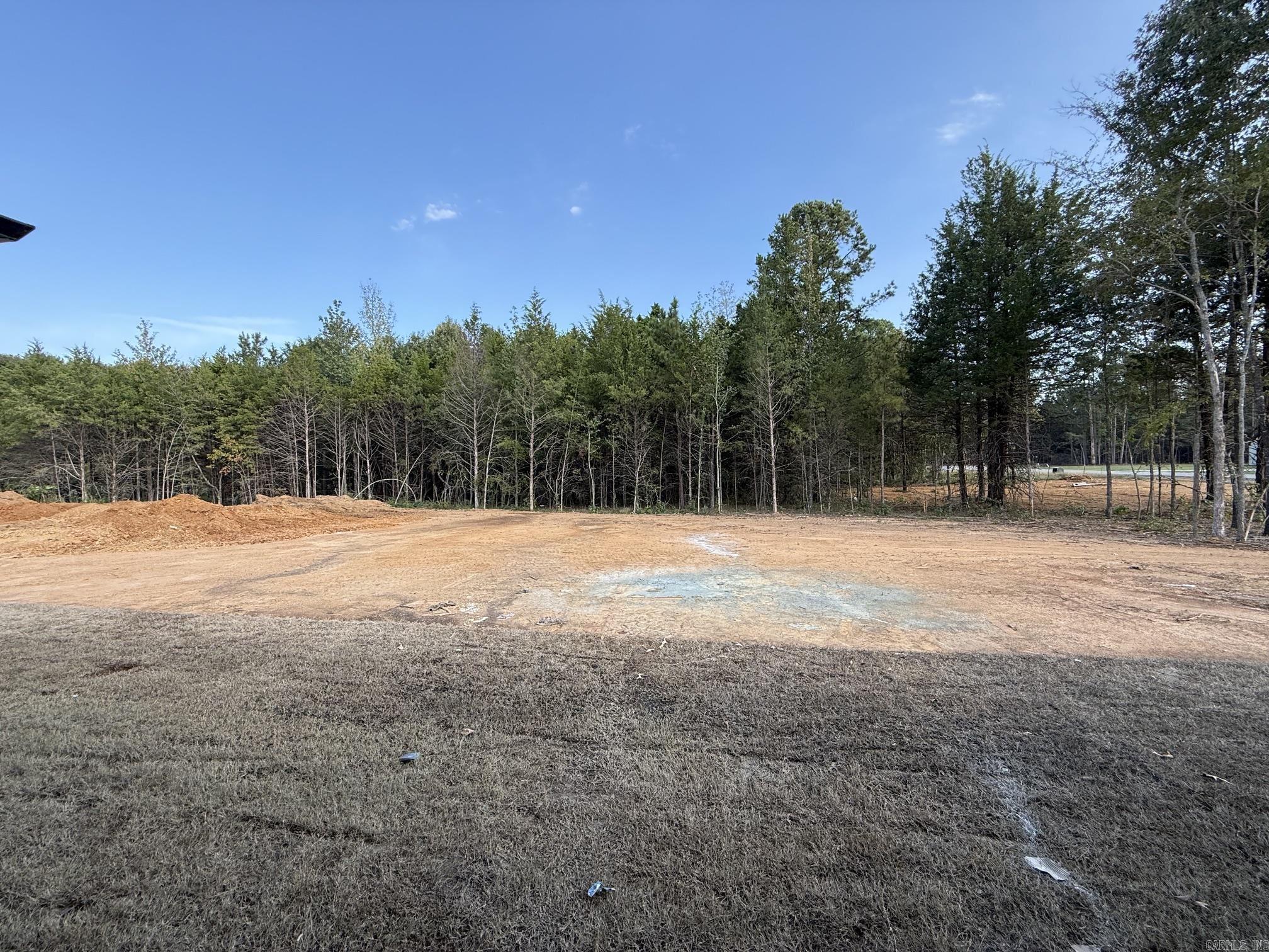 1 Grey Wolf Cove Greenbrier, AR 72058