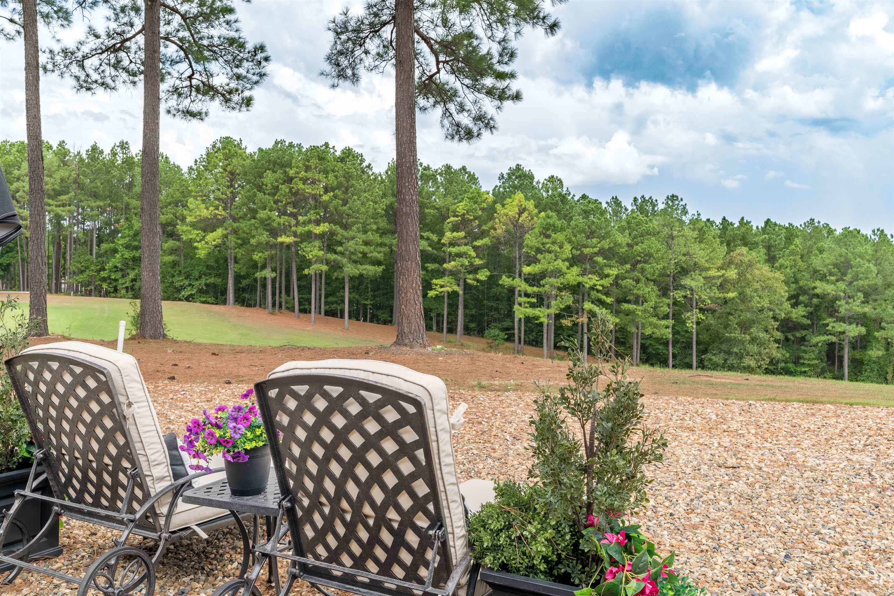 19 Sorprendente Ln  Hot Springs Village, AR