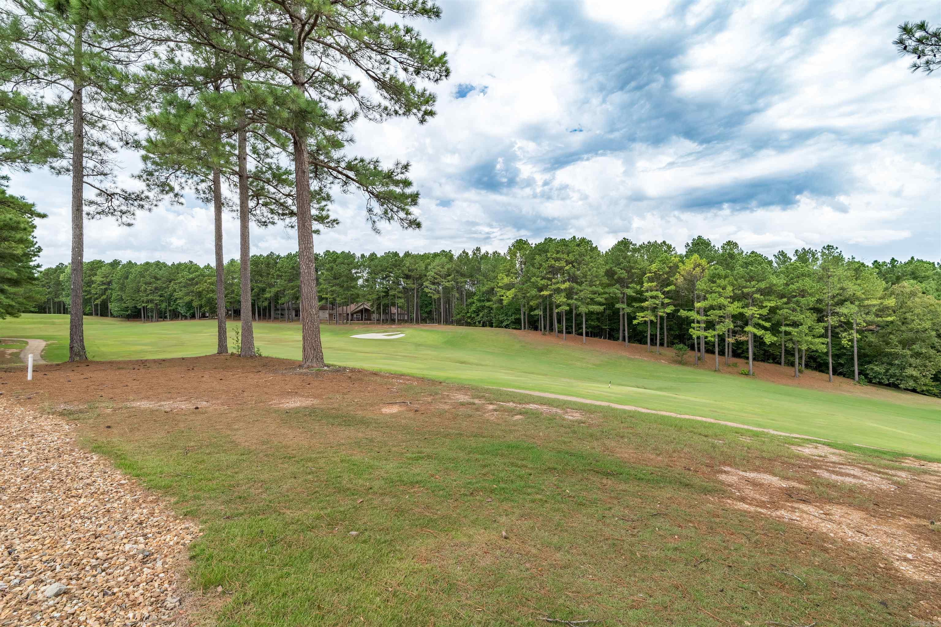 19 Sorprendente Ln  Hot Springs Village, AR