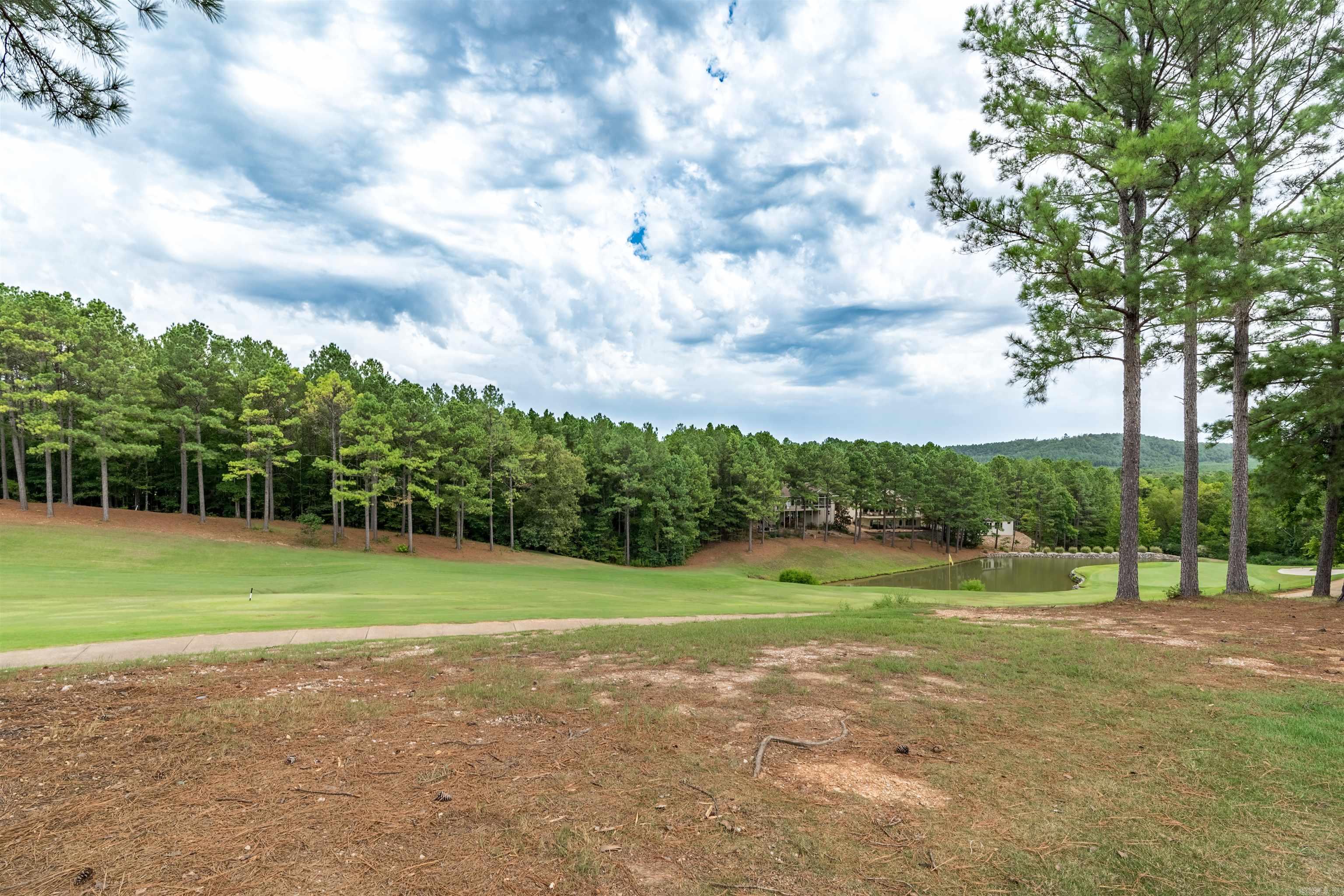 19 Sorprendente Ln  Hot Springs Village, AR