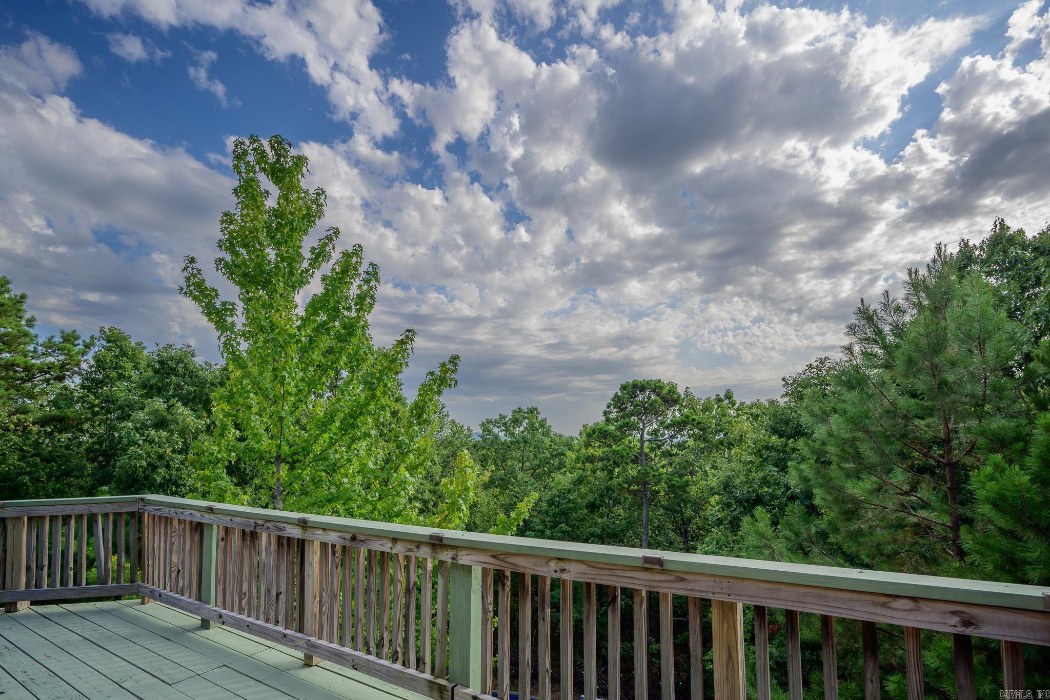 231 Polk Road 119  Mena, AR