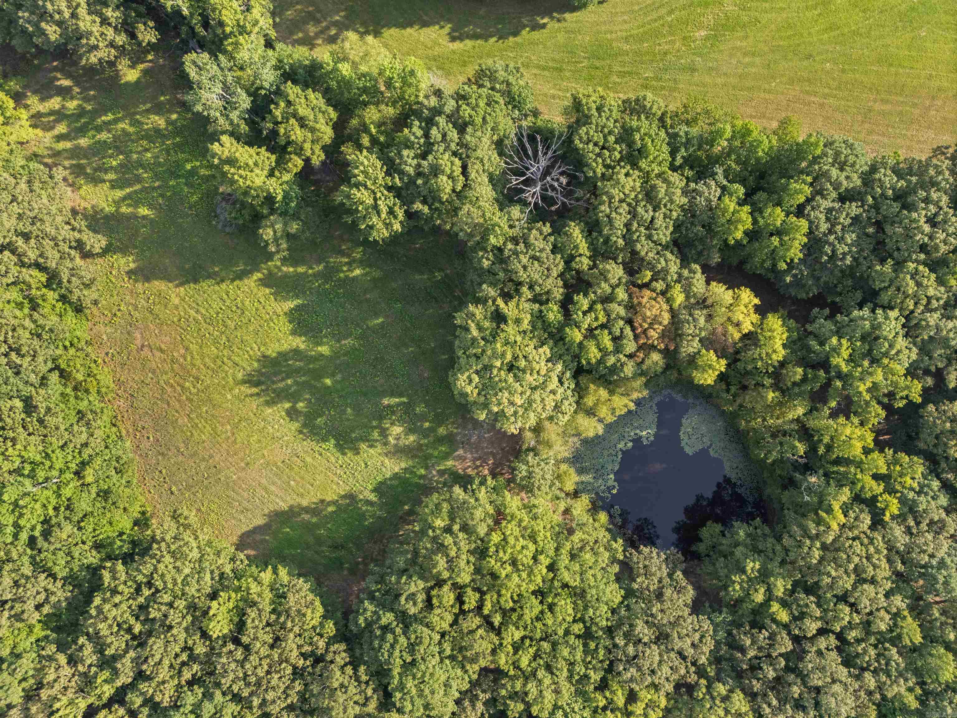 730 Hwy 258 Bald Knob, AR 72010