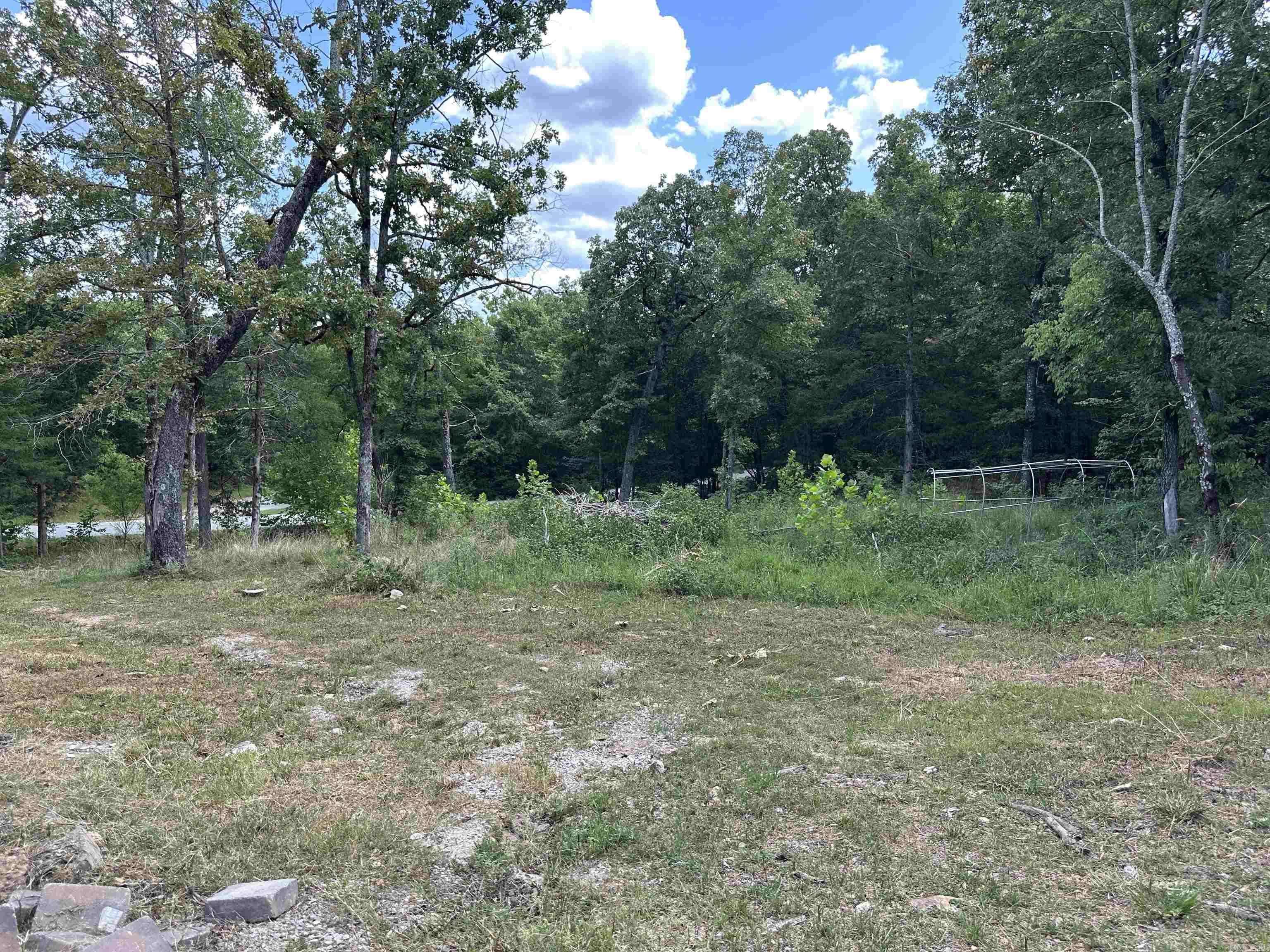 37 Valley Forge Drive  Mountain Home, AR