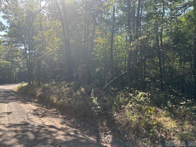 0 Shaw Bridge Road — photo 2