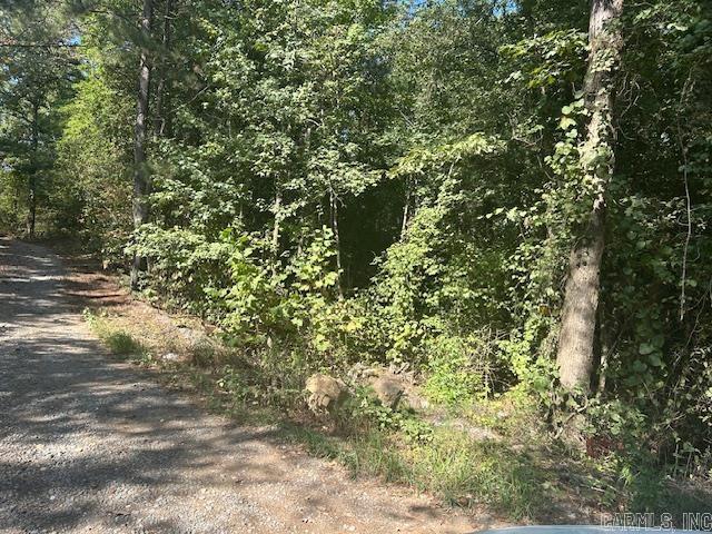 0 Shaw Bridge Road — photo 3