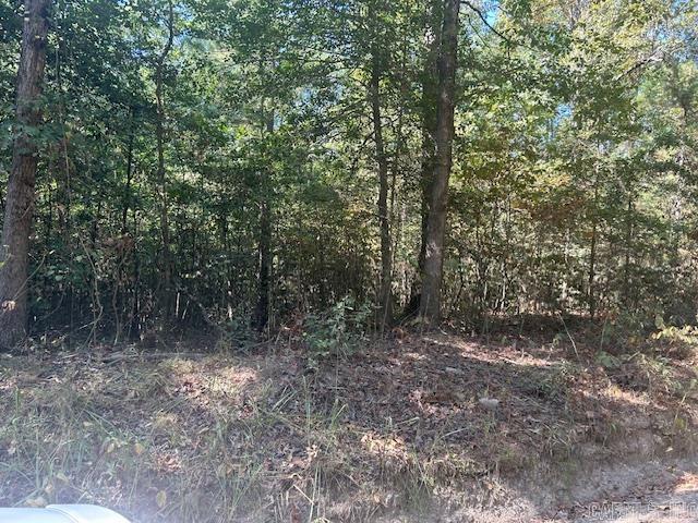 0 Shaw Bridge Road — photo 4