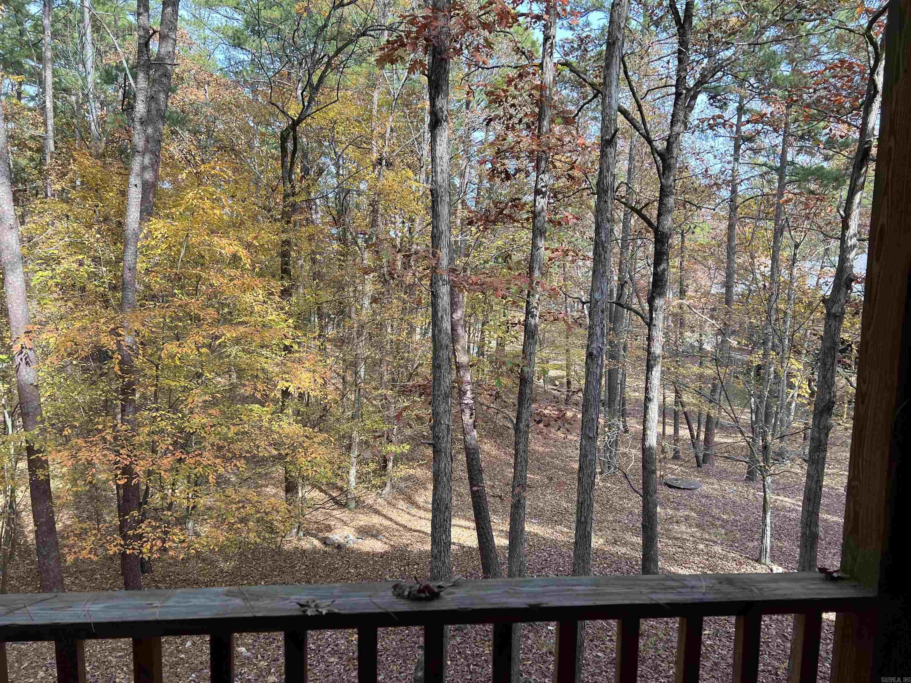 21 Pine  Mount Ida, AR