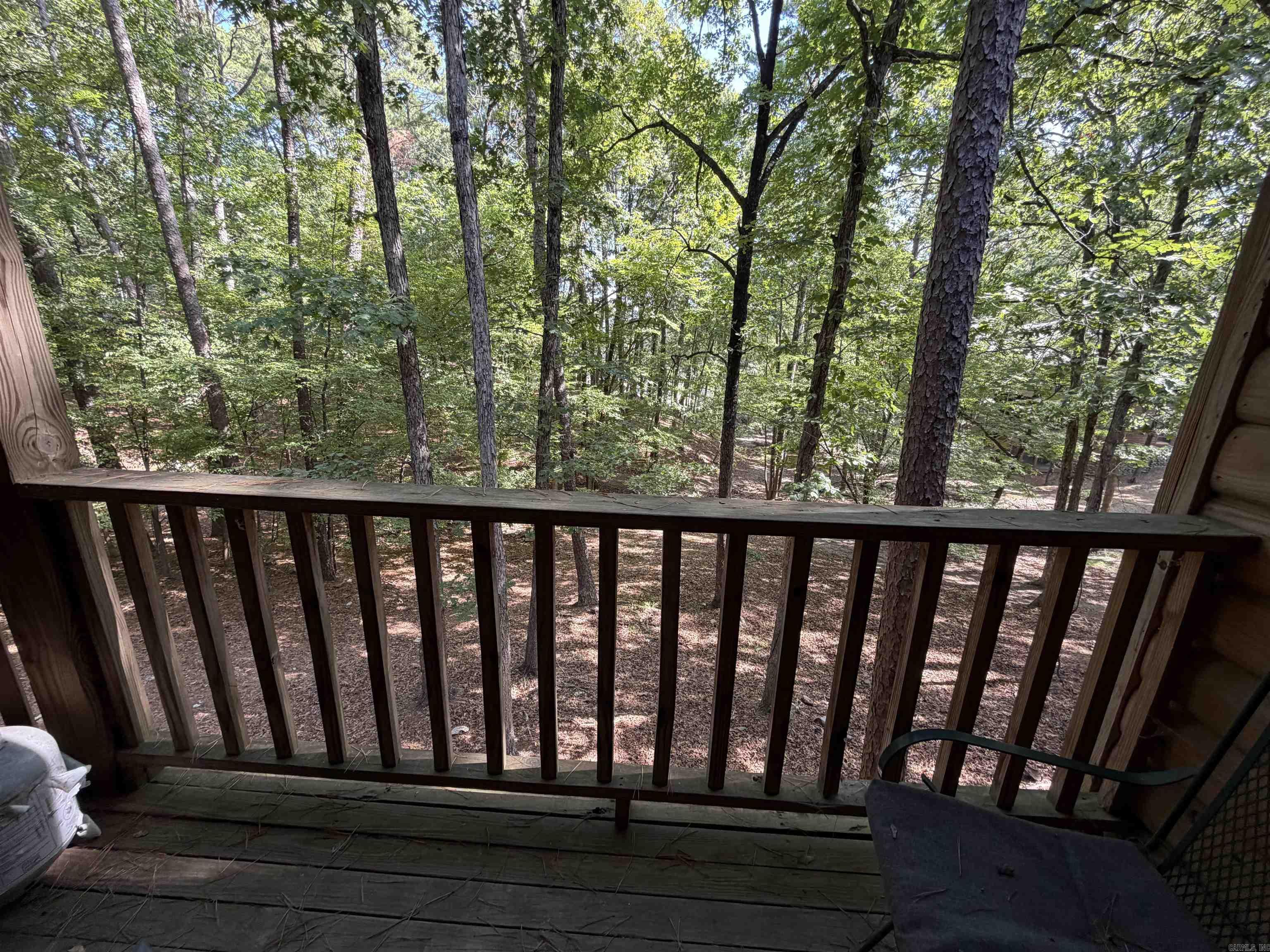 21 Pine  Mount Ida, AR