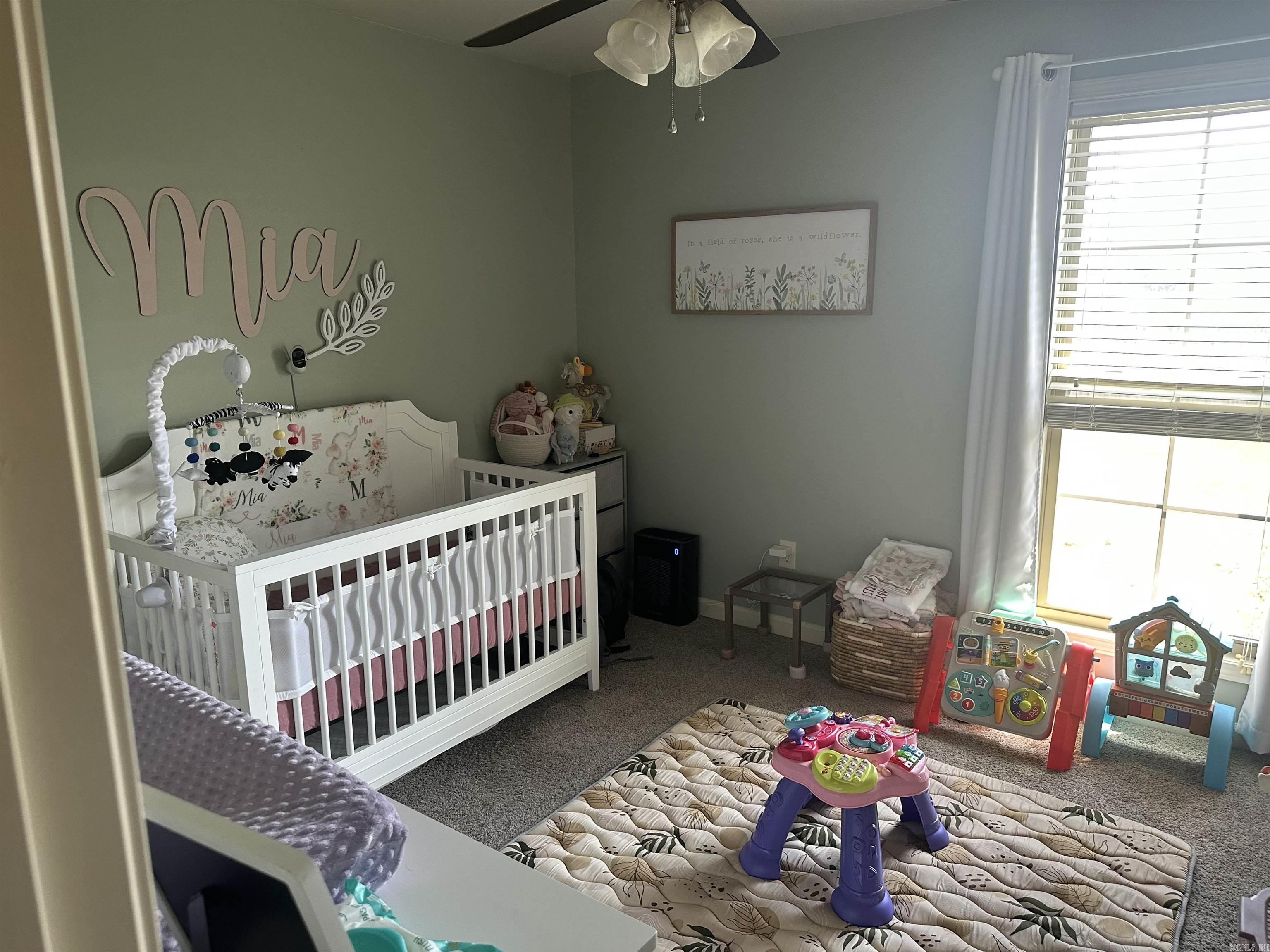 397 Wildwood Point  Jonesboro, AR