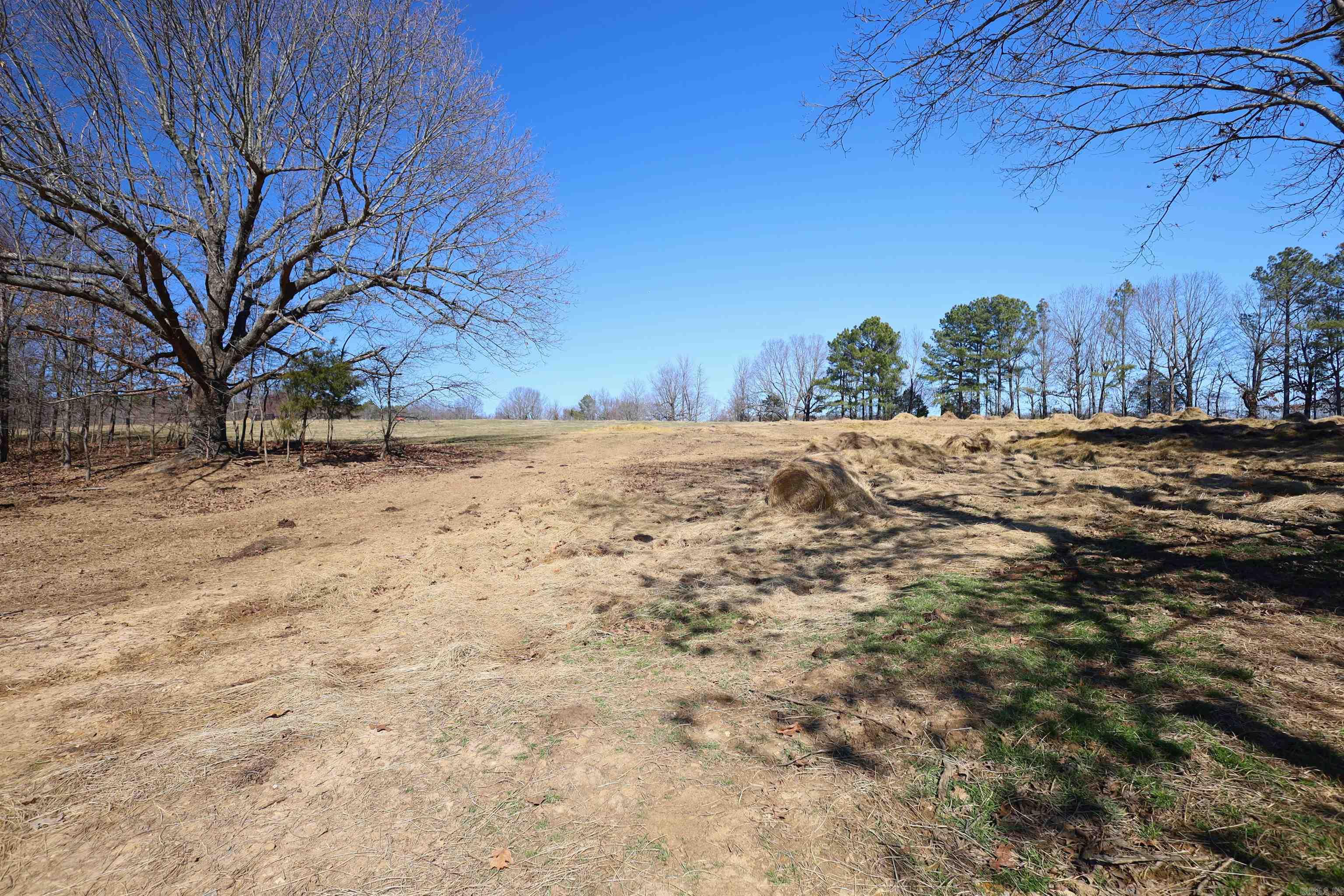 303 County Road 401 Rector, AR 72461