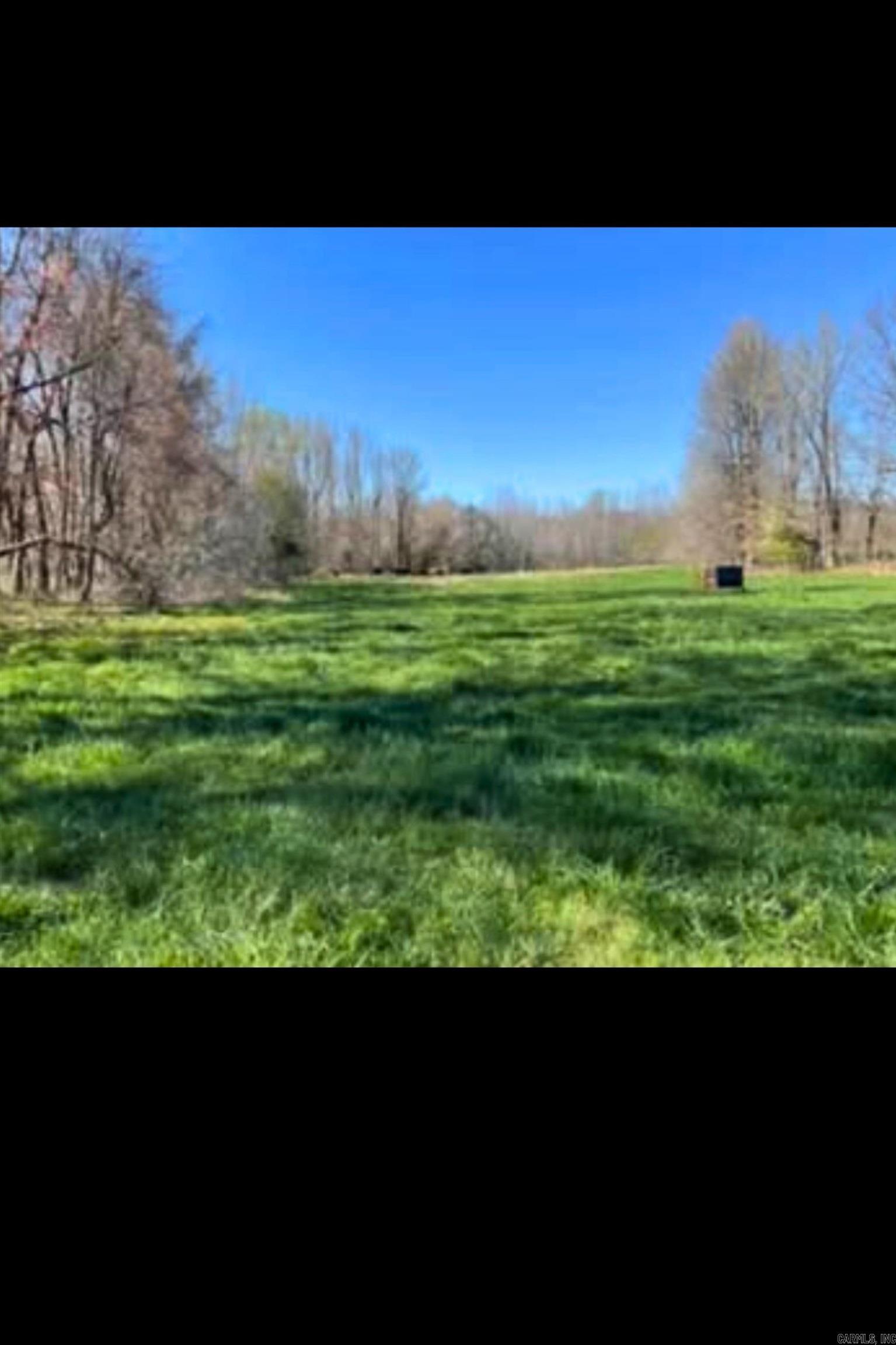 303 County Road 401 Rector, AR 72461