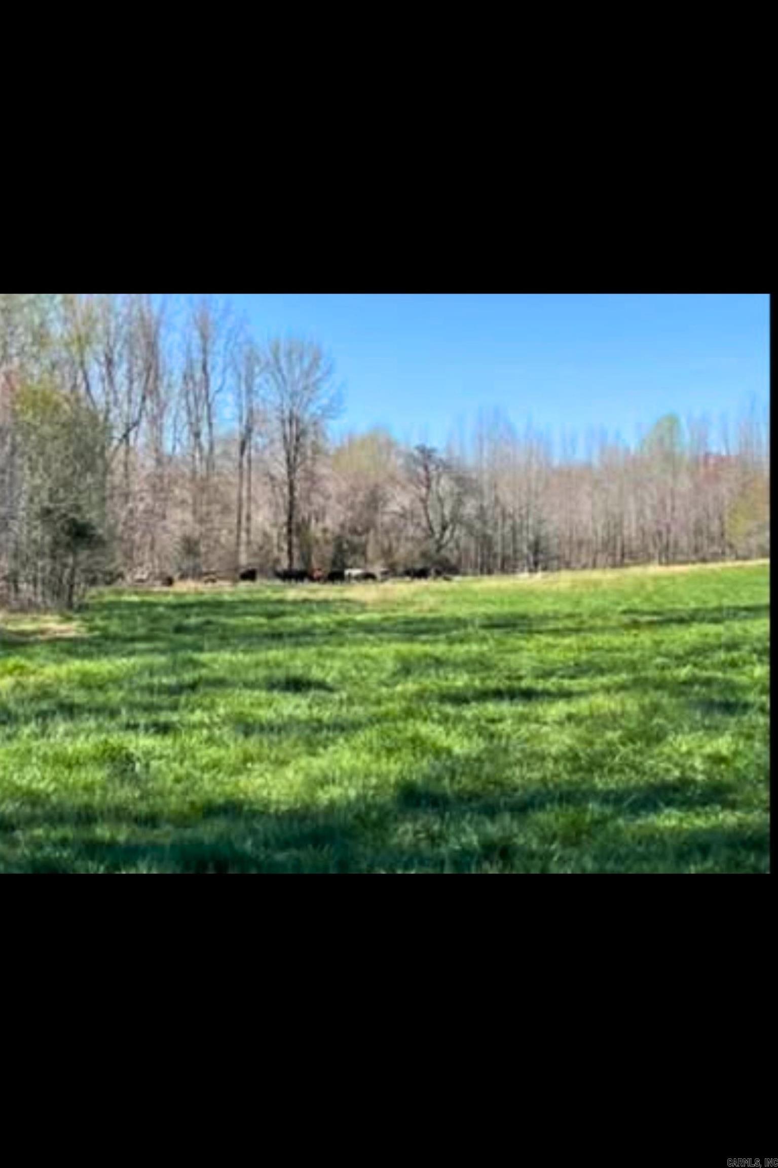 303 County Road 401 Rector, AR 72461