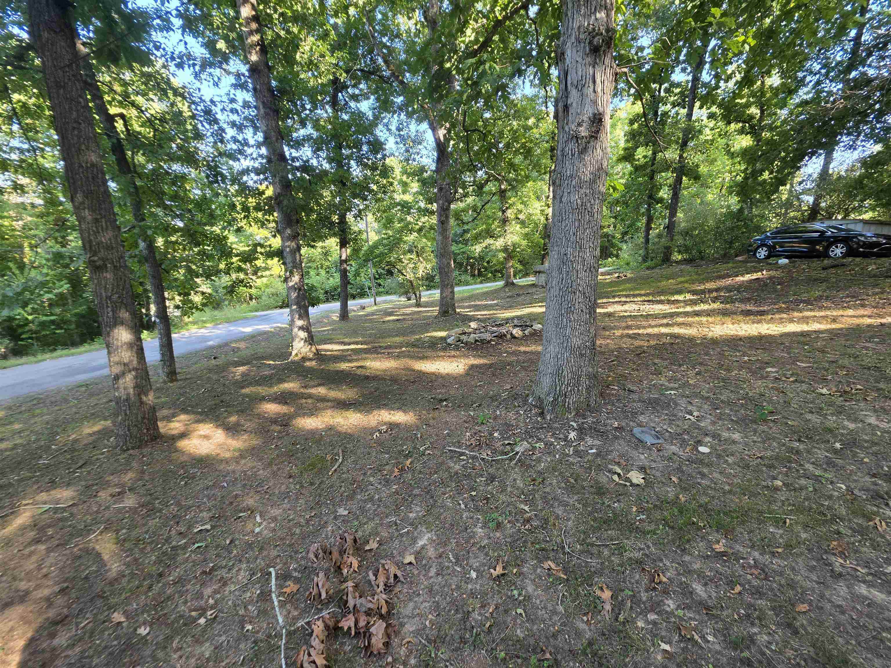2 Yancopin  Cherokee Village, AR