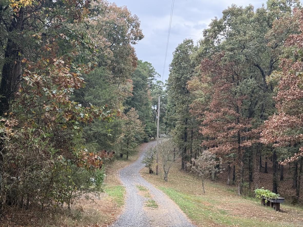 155 Polk Road 710 Mena, AR 71953