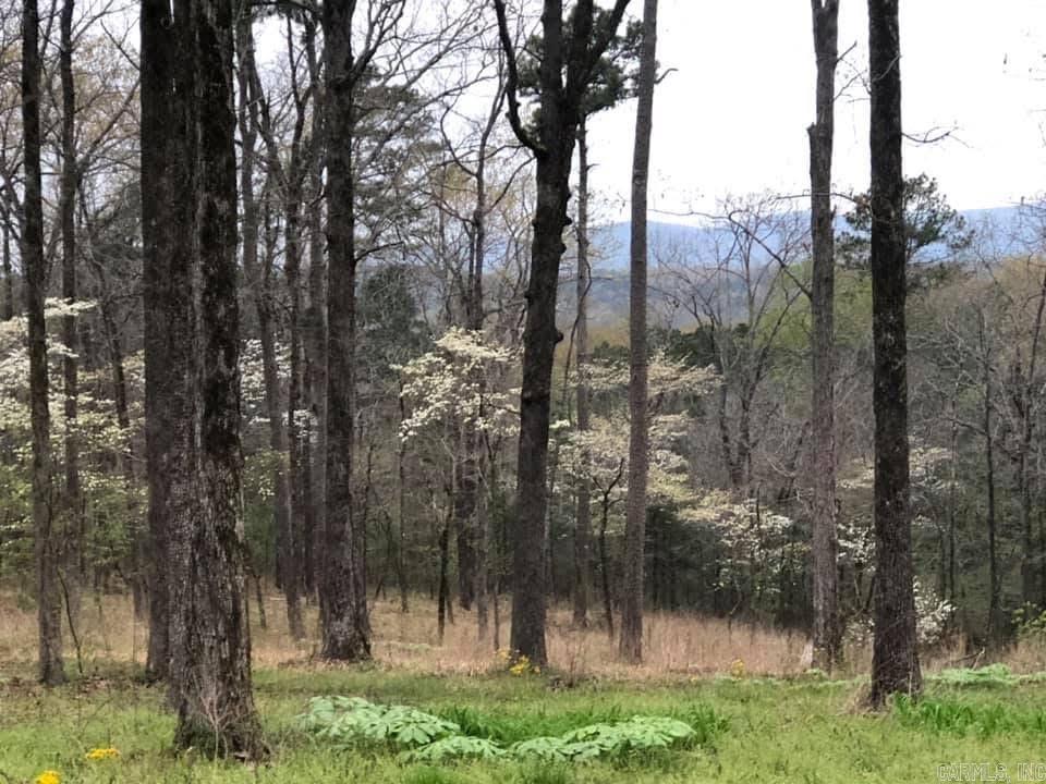 155 Polk Road 710 Mena, AR 71953