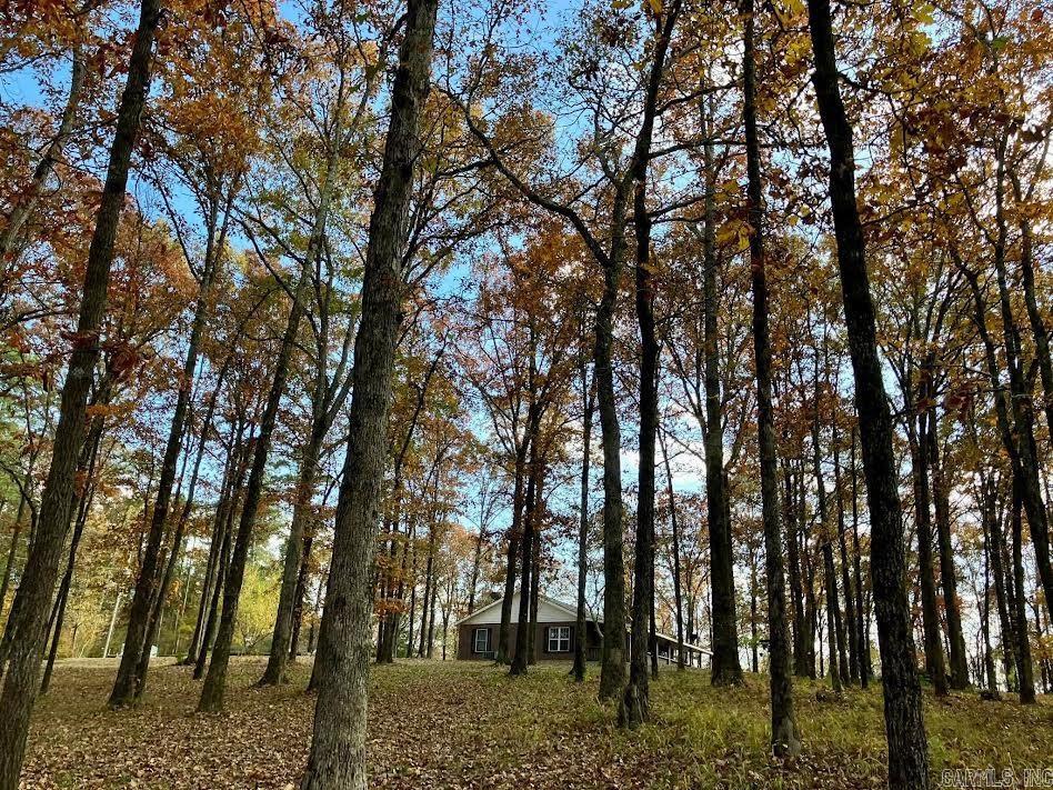 155 Polk Road 710 Mena, AR 71953