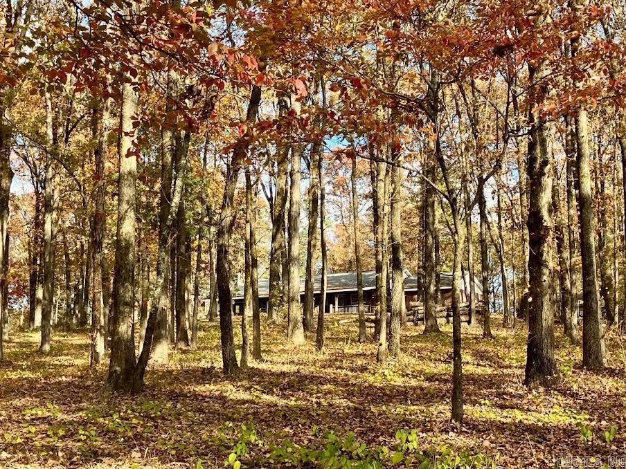 155 Polk Road 710 Mena, AR 71953