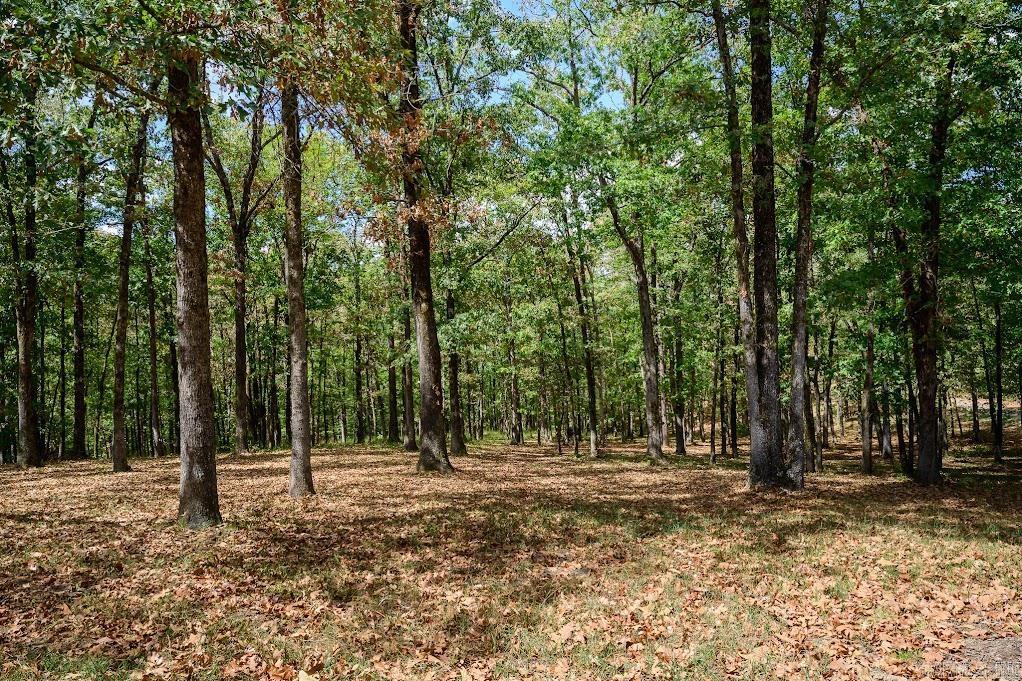 155 Polk Road 710 Mena, AR 71953