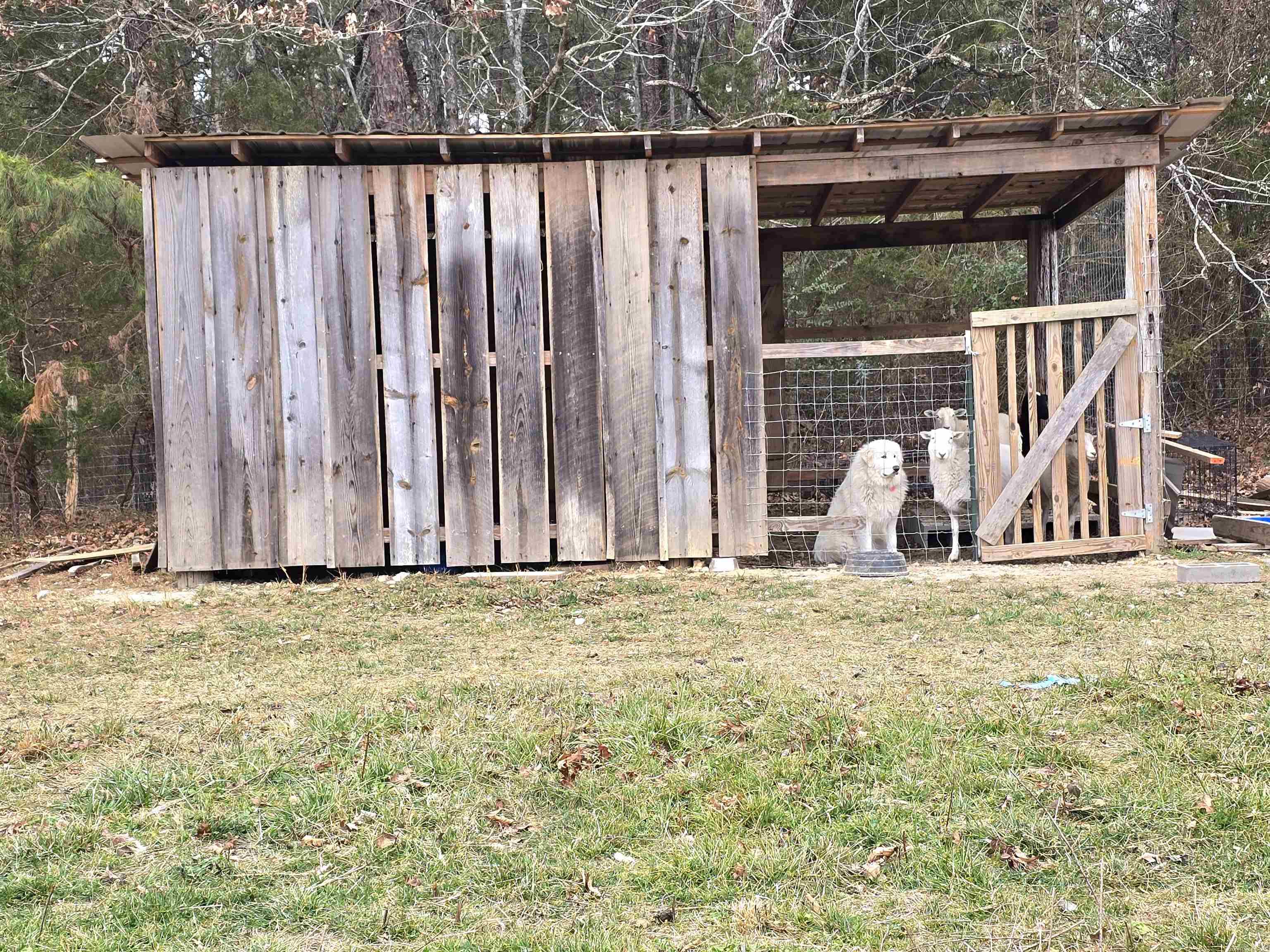 994 Sawmill Road