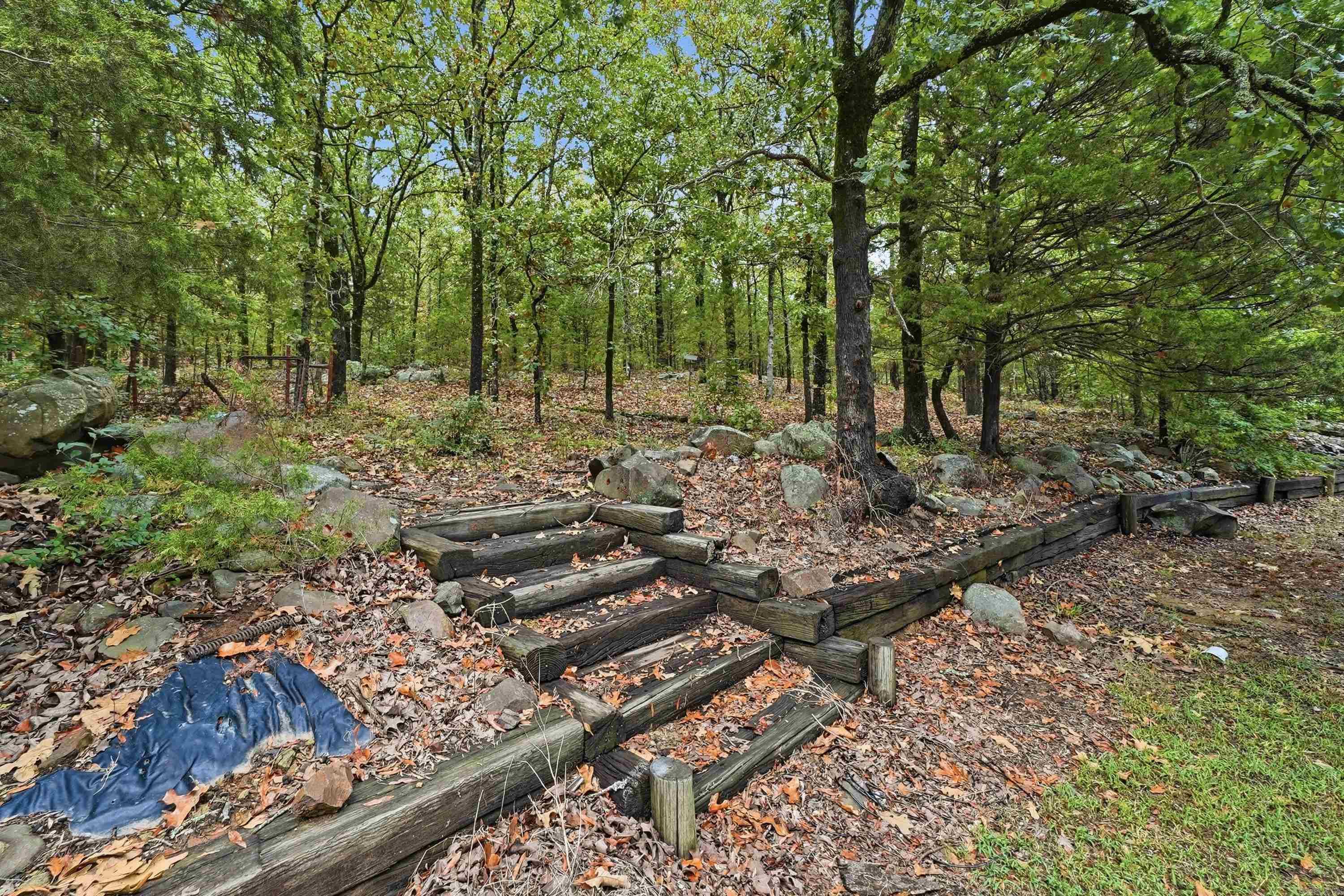 243 Pickles Gap Road  Conway, AR