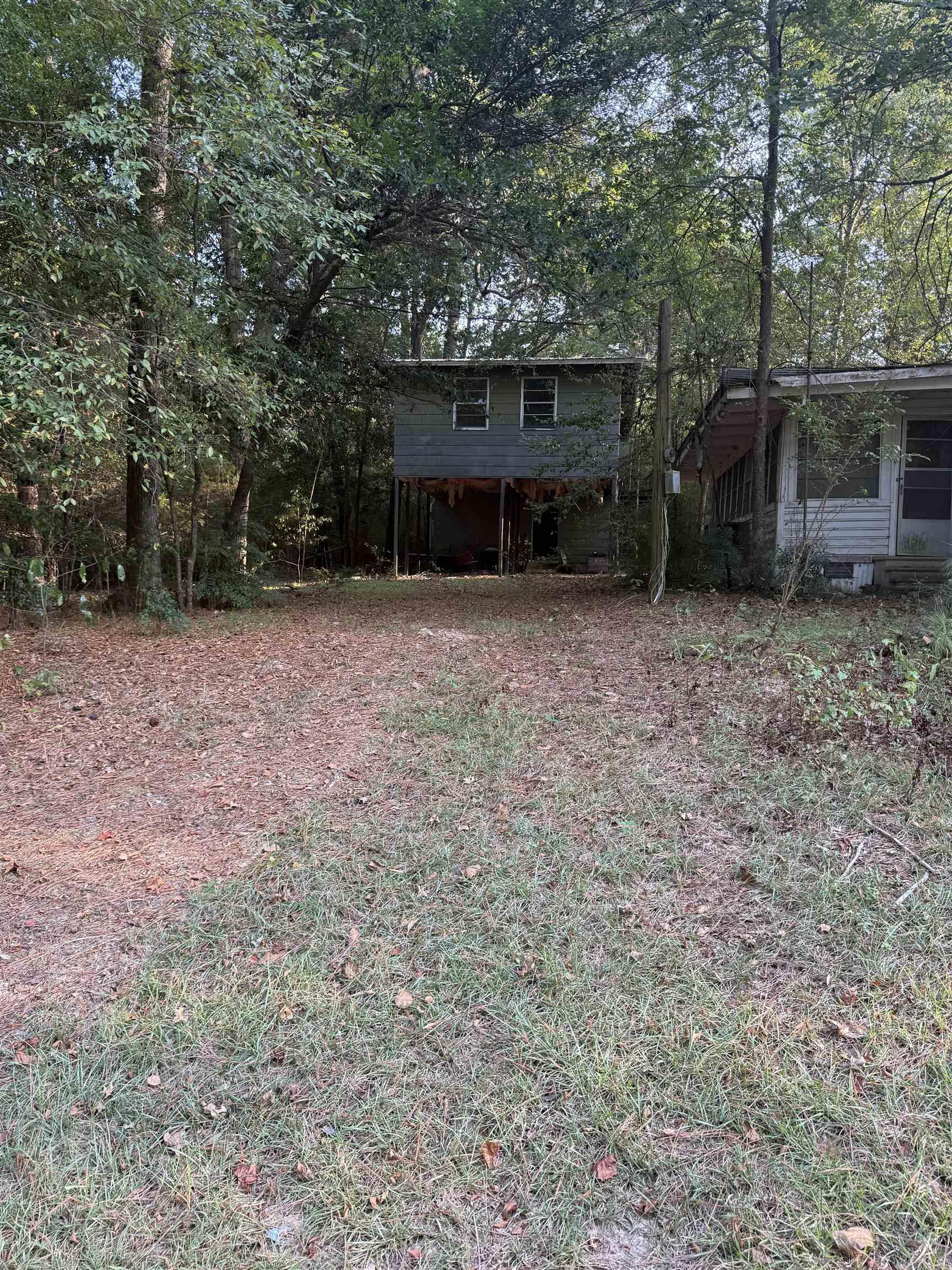 295 Ouachita 15  Chidester, AR
