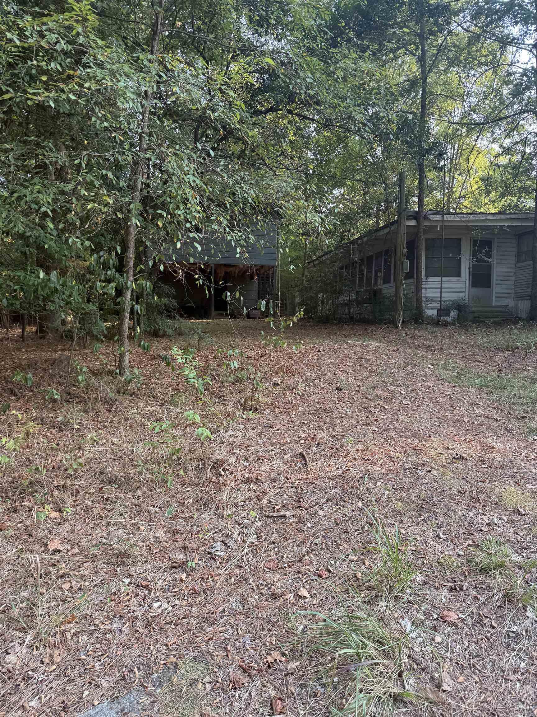 295 Ouachita 15  Chidester, AR
