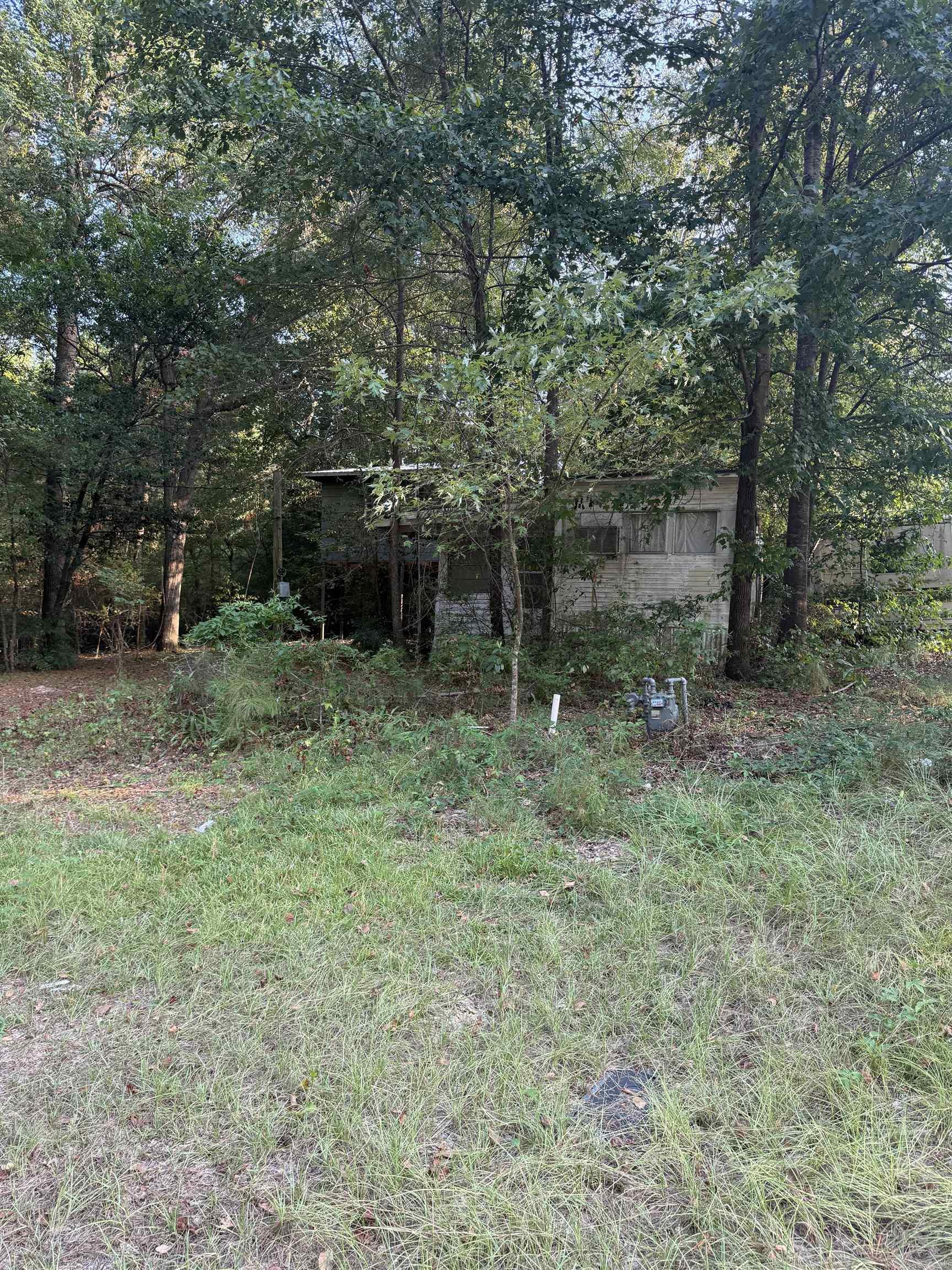 295 Ouachita 15  Chidester, AR