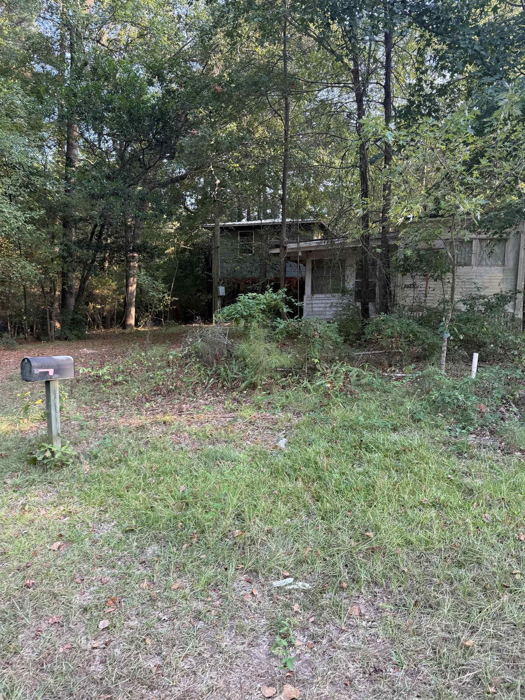 295 Ouachita 15  Chidester, AR
