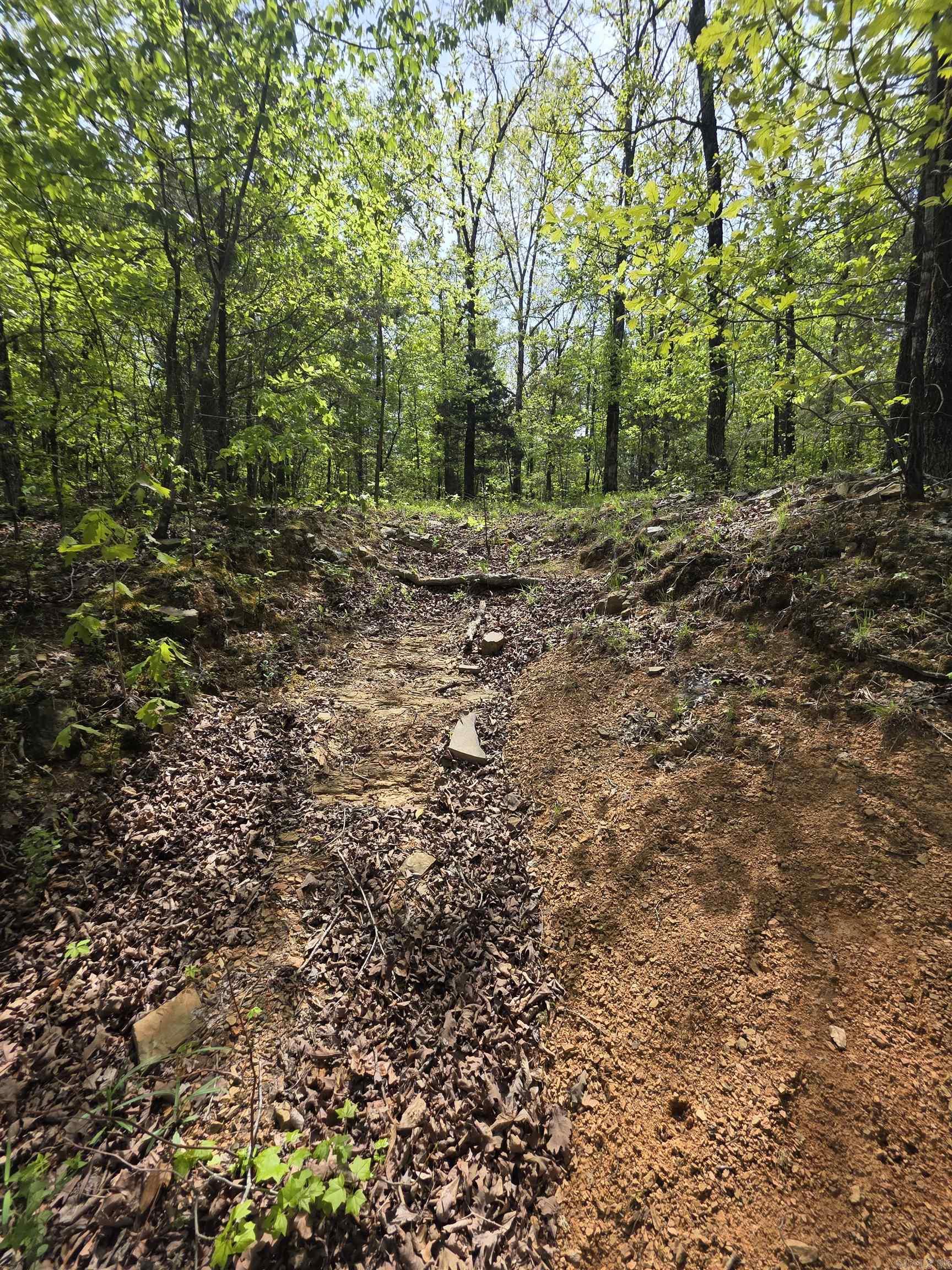 0 Strawberry Cove — photo 2