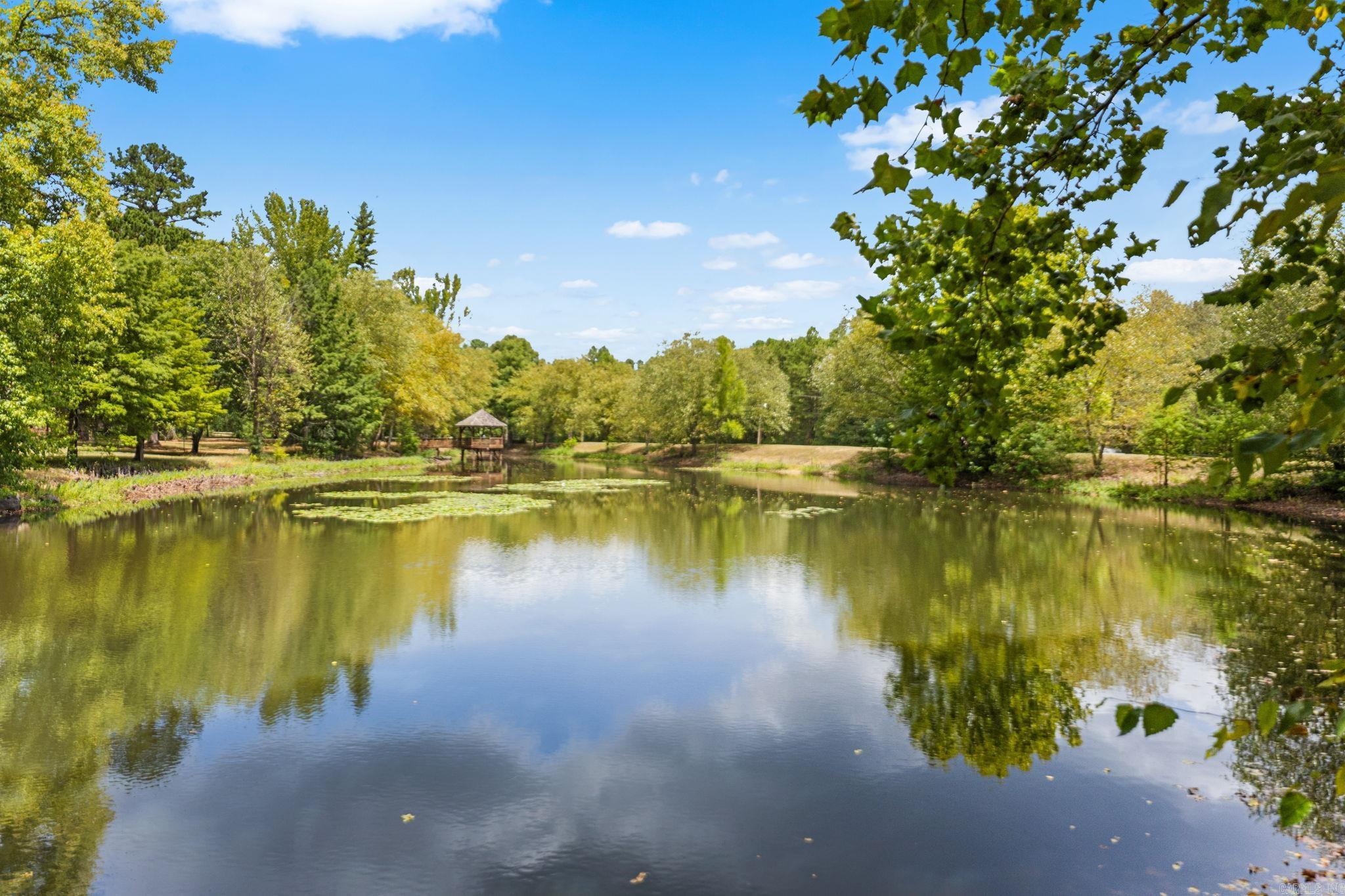 13717 Bringle Creek Road Bigelow, AR 72016