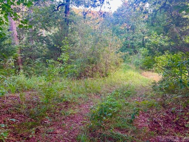 1602 Turkey Creek Road