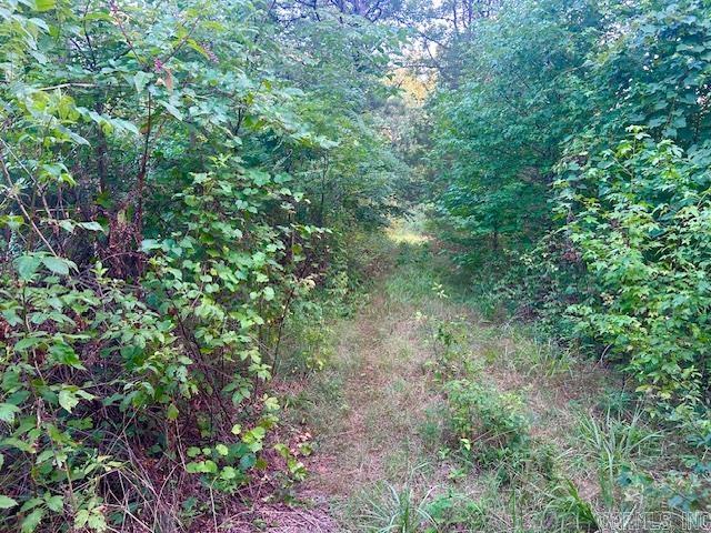 1602 Turkey Creek Road