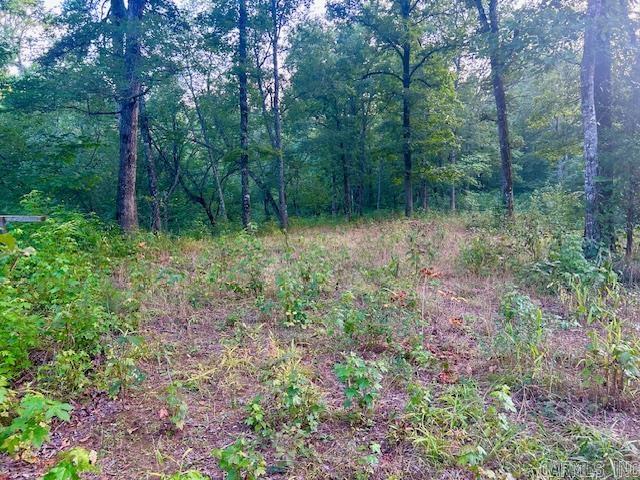 1602 Turkey Creek Road