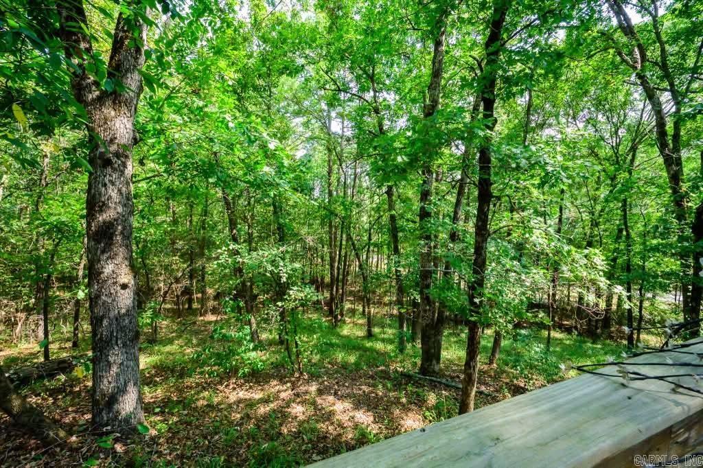 443 Polk Road 46  Mena, AR