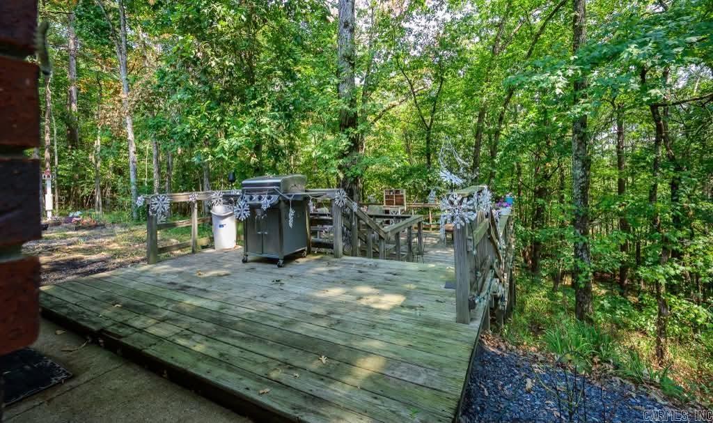 443 Polk Road 46  Mena, AR