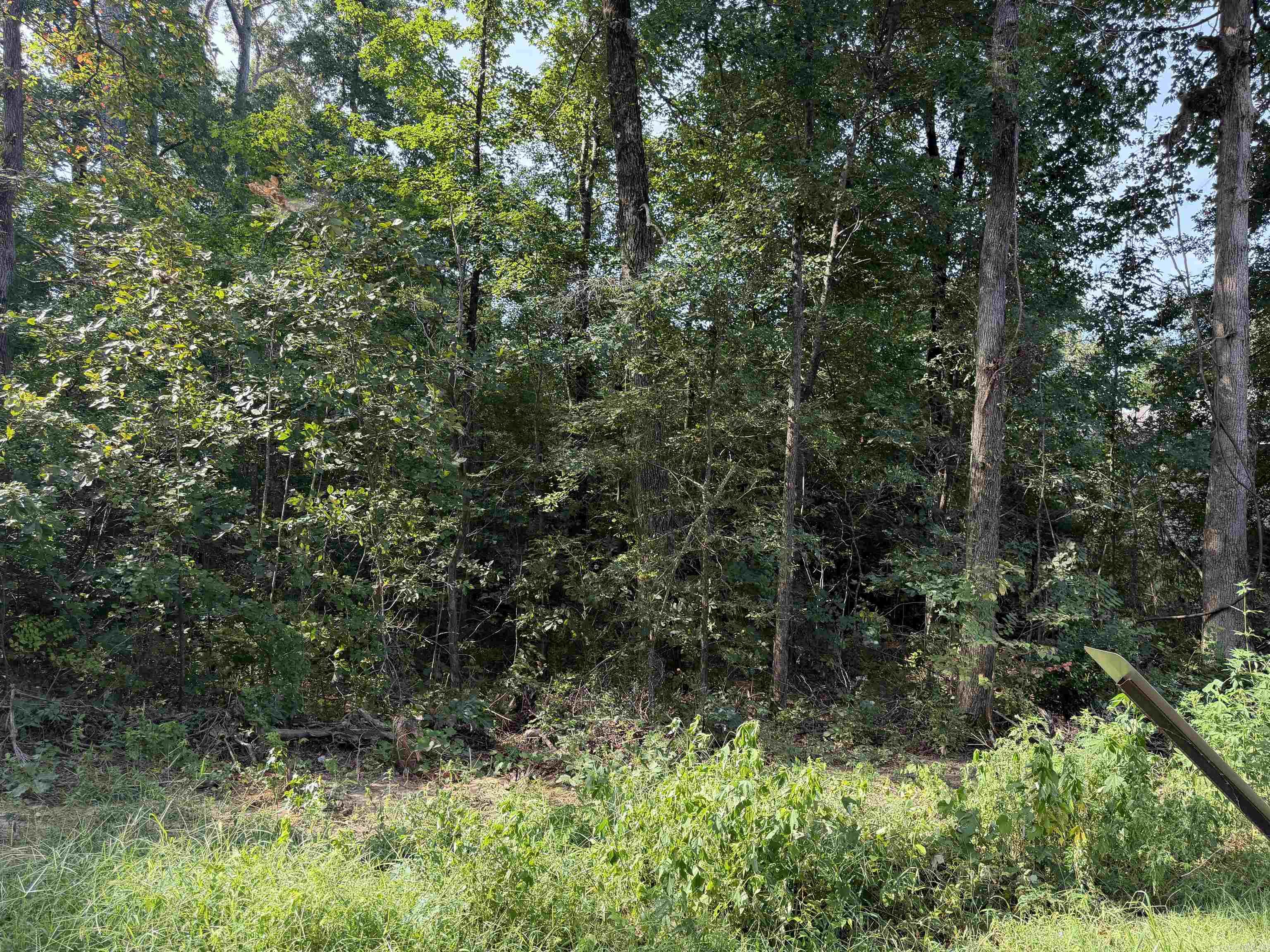0 Castle Valley Road — photo 3