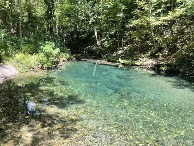 47 Uphill Trail Black Sprs., AR 71960-9999
