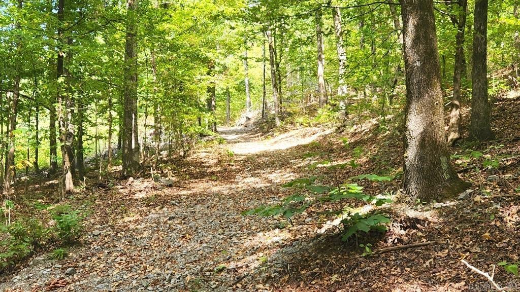 47 Uphill Trail Black Sprs., AR 71960-9999