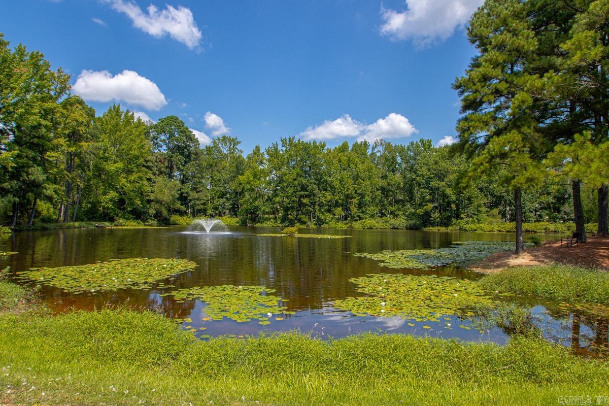 4040 Vineyard Way Alexander, AR 72002