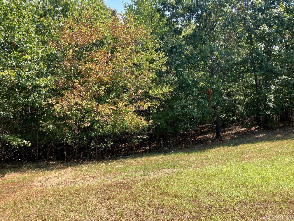 218 Thompson Creek Ln  Mena, AR