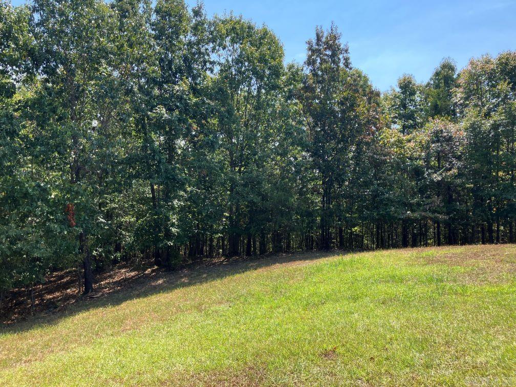218 Thompson Creek Ln  Mena, AR