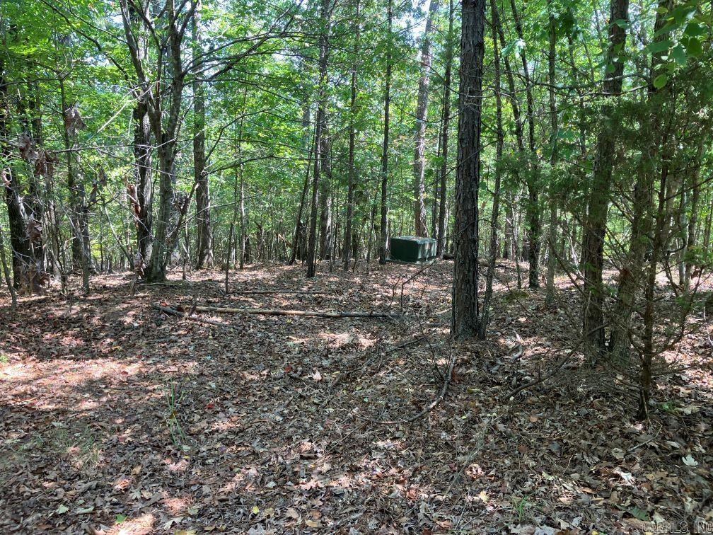 218 Thompson Creek Ln  Mena, AR